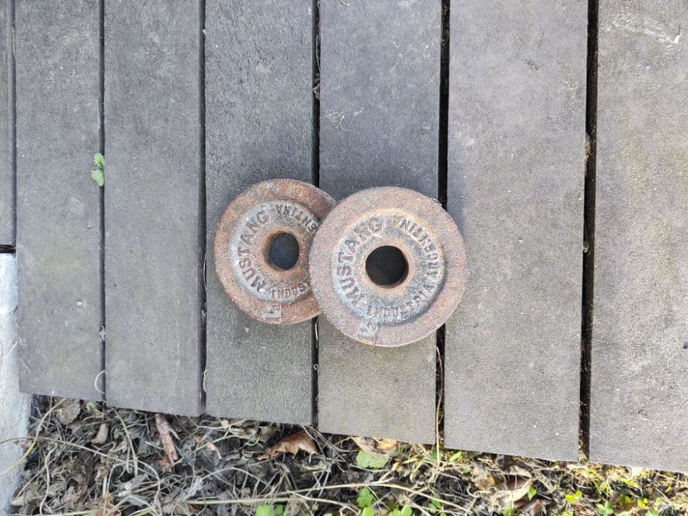 2 discos de 1.25 kg de fundición
